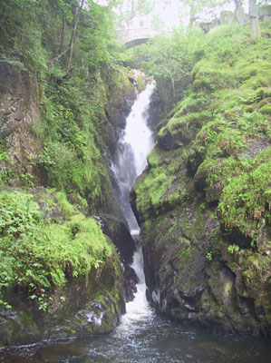 Ara Force National Park