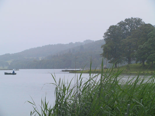View over lake