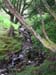 DSCN0548