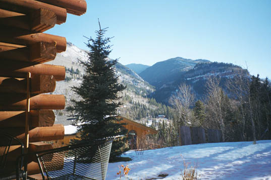 Hilberman's back yard